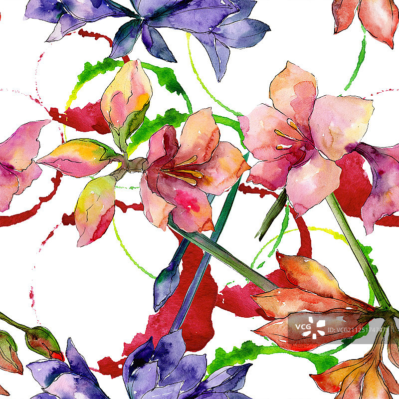 粉色和紫色孤挺花水彩花卉背景图案图片素材