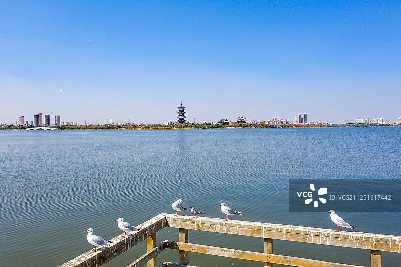 山东少海国家湿地公园图片素材