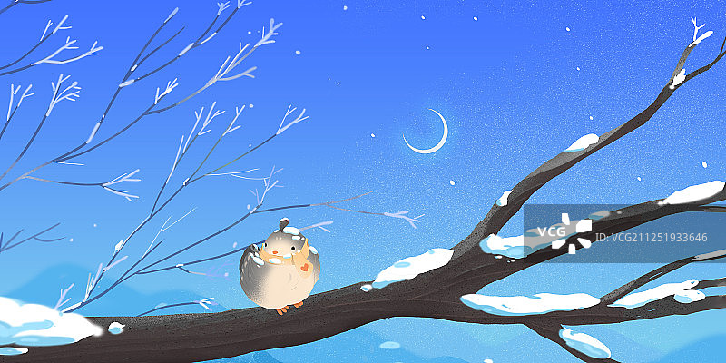 初冬小雪站在树枝上圆滚滚的小鸟图片素材