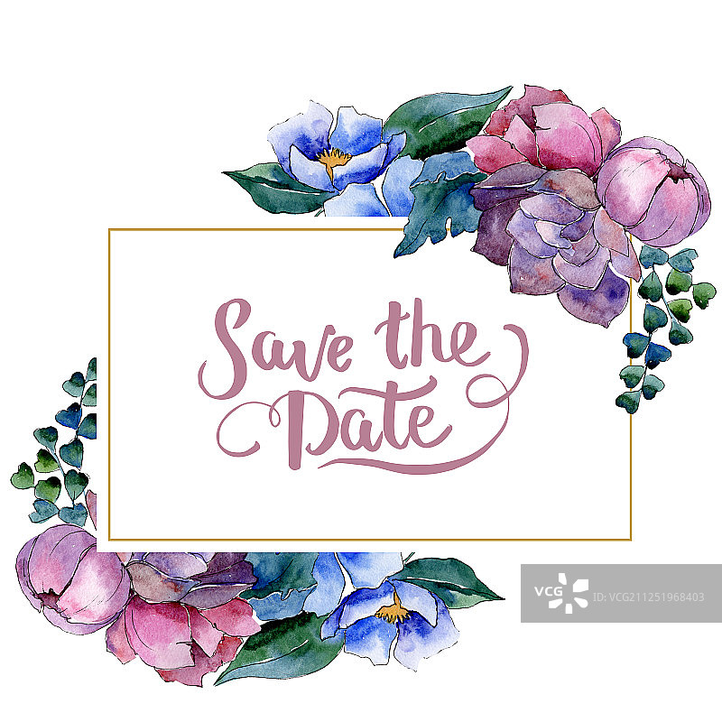 花束，植物花。水彩背景插图集。边框装饰方形。图片素材