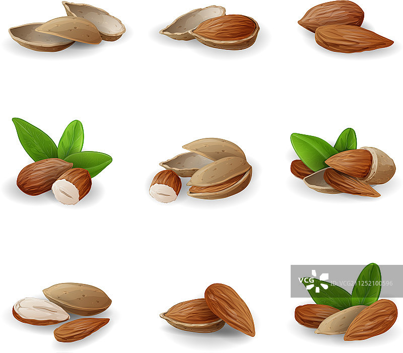 杏仁图标卡通风格图片素材