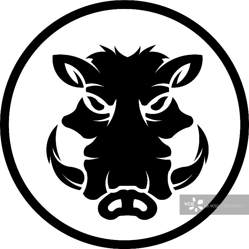 野猪图片素材