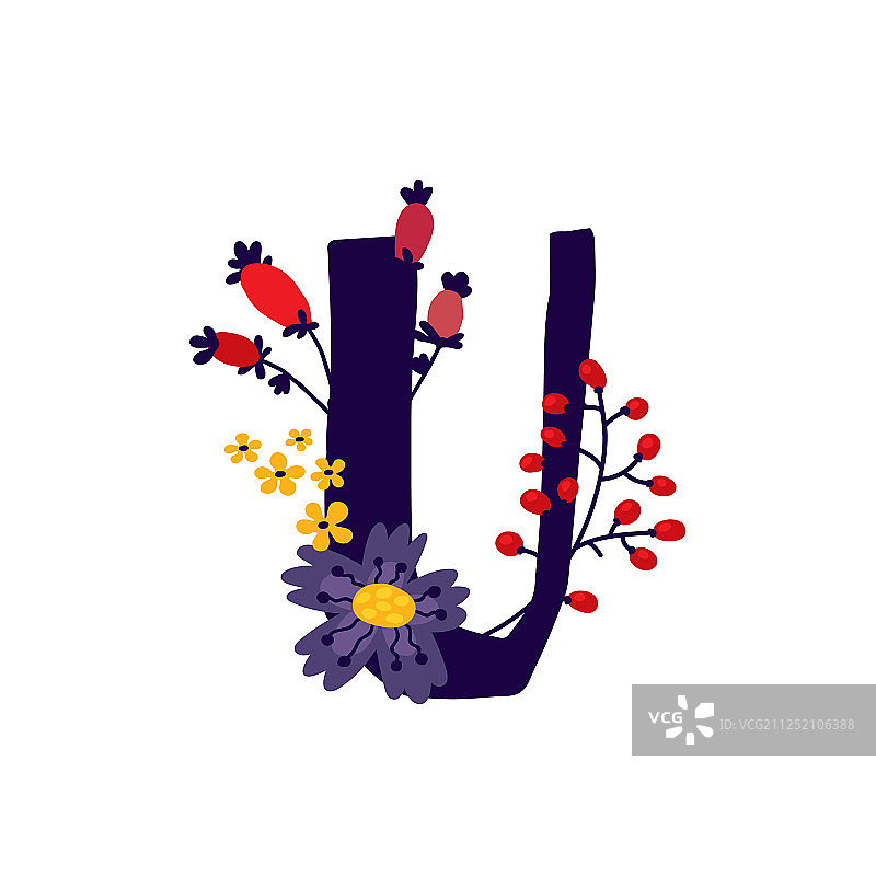鲜花植物中的拉丁字母U图片素材