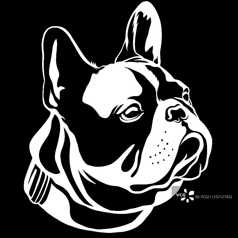 英俊的黑色法国斗牛犬标志图片素材