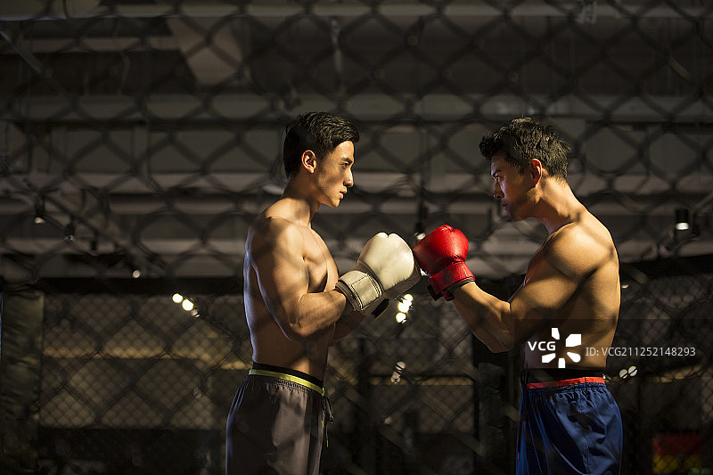 两个青年男拳击手对抗图片素材