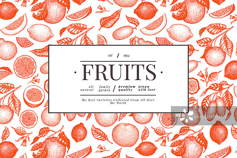 手绘雕刻柑橘设计模板图片素材