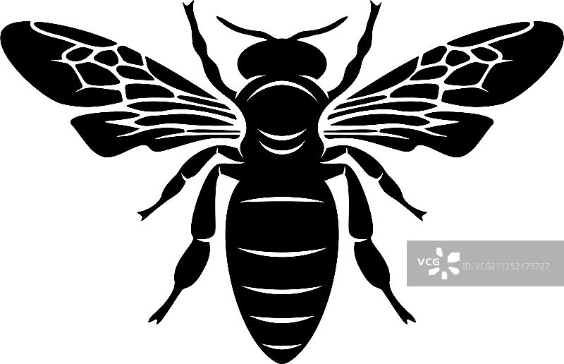 蜜蜂Logo设计 图标符号模板图片素材