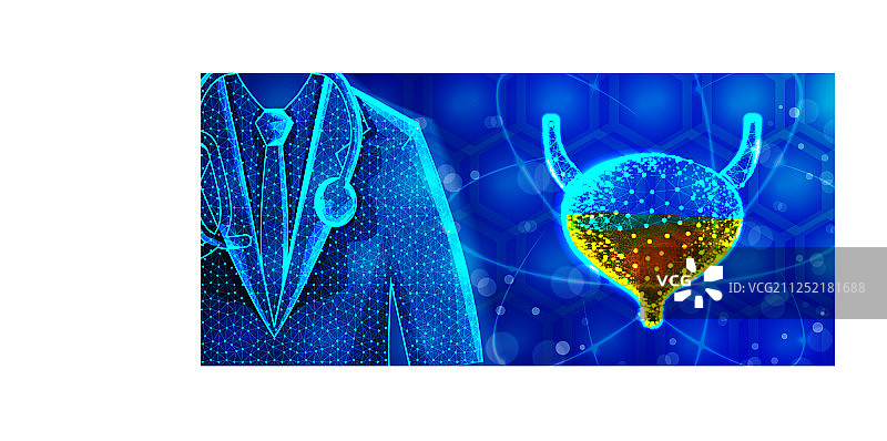 人类膀胱解剖图图片素材