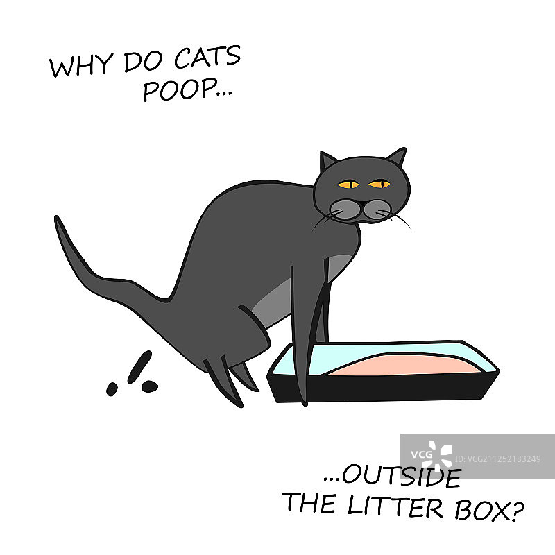 猫咪行为图图片素材