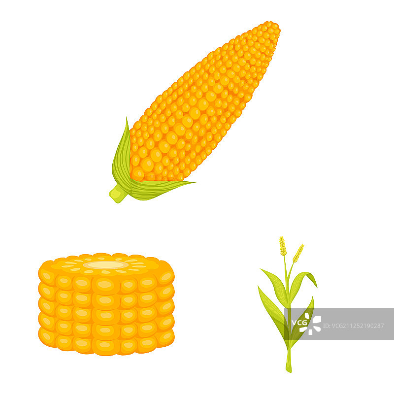 玉米和食物符号设计合集图片素材