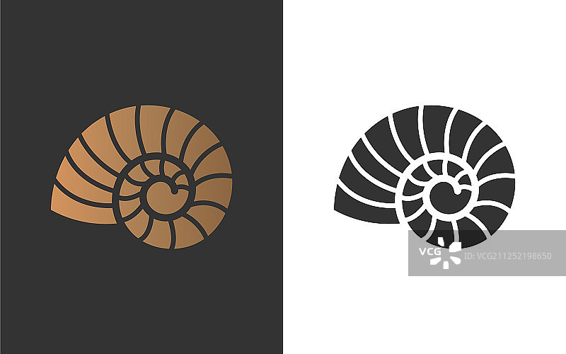 鹦鹉螺副本图片素材