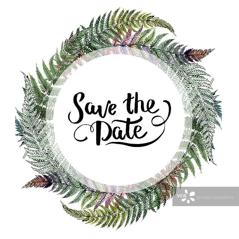 蕨类绿叶。植物学植物花卉叶子。水彩背景插图集。框架边界装饰方形。图片素材