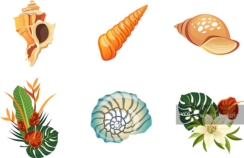 贝壳、棕榈叶和花朵夏季组合图片素材