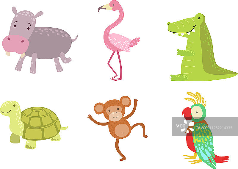 可爱的非洲动物：乌龟、猴子、鹦鹉图片素材