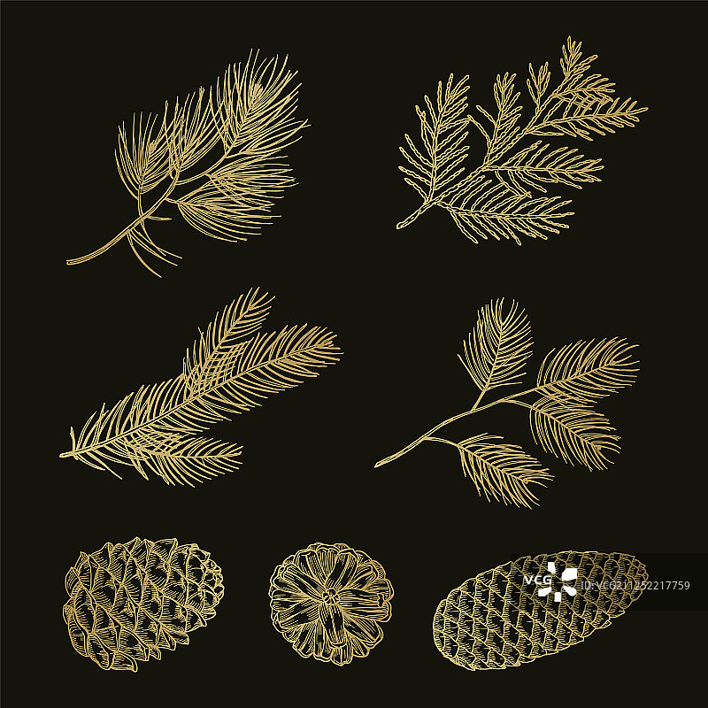 金色冷杉树枝和锥形涂鸦套装图片素材