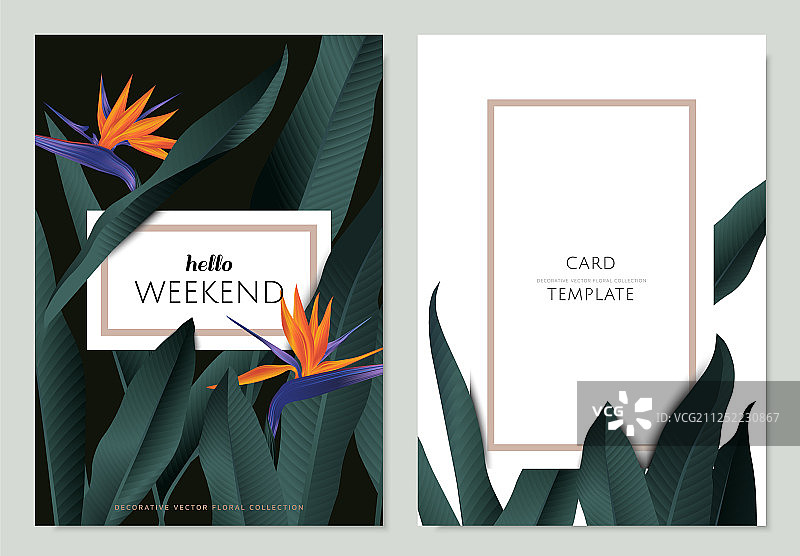 热带植物贺卡模板设计图片素材