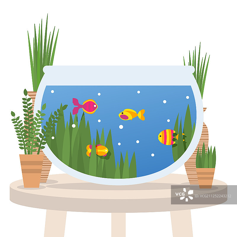 扁平风格的桌面水族箱中的鱼图片素材