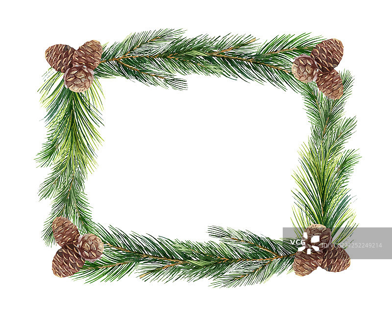 水彩绿色云杉松果框架图片素材