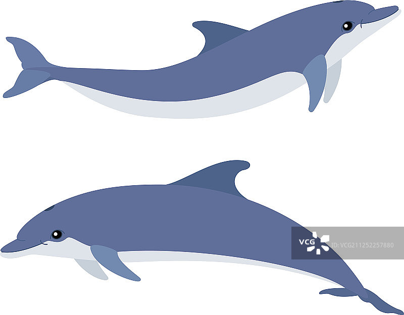 卡通动物剪辑艺术图片素材