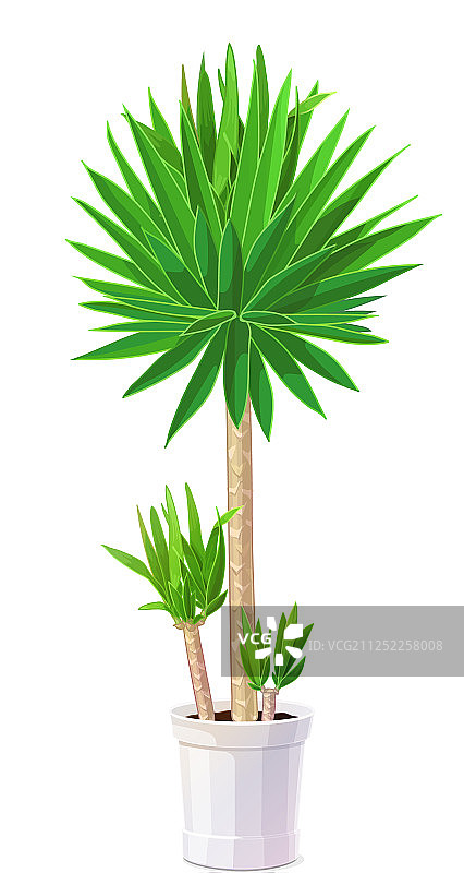 卡通植物剪贴画图片素材