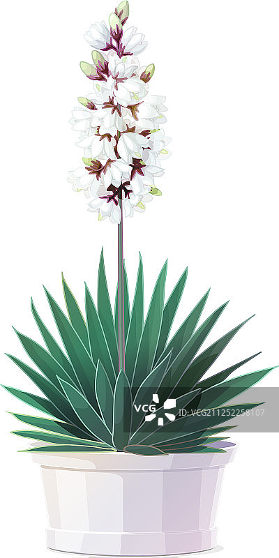 卡通植物剪贴画图片素材