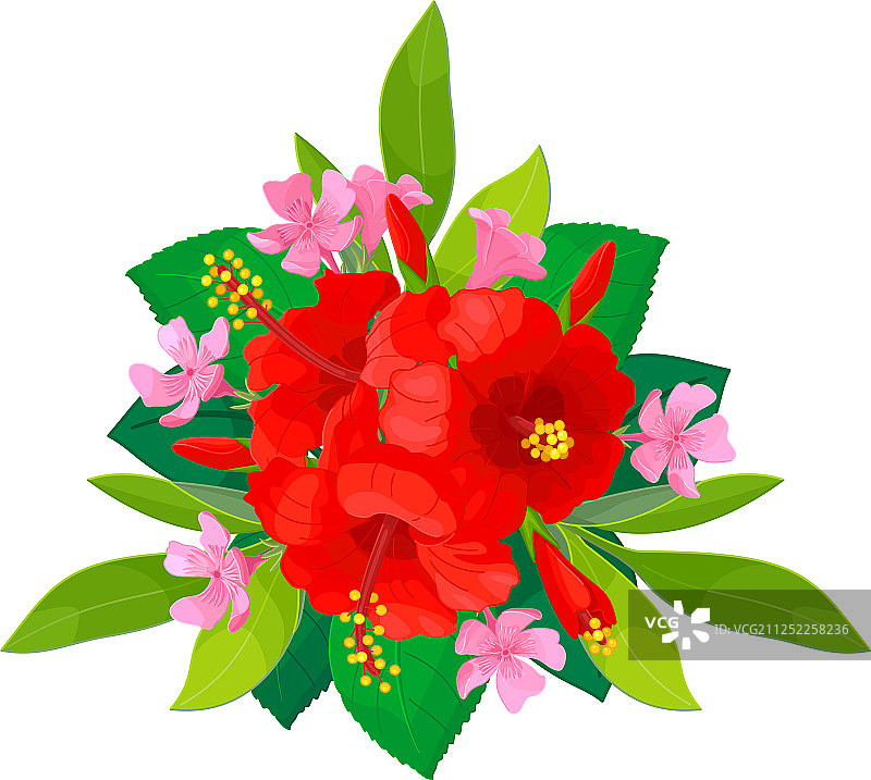 热带图案剪贴画图片素材