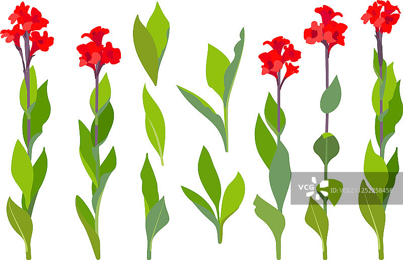 手绘植物剪贴画图片素材