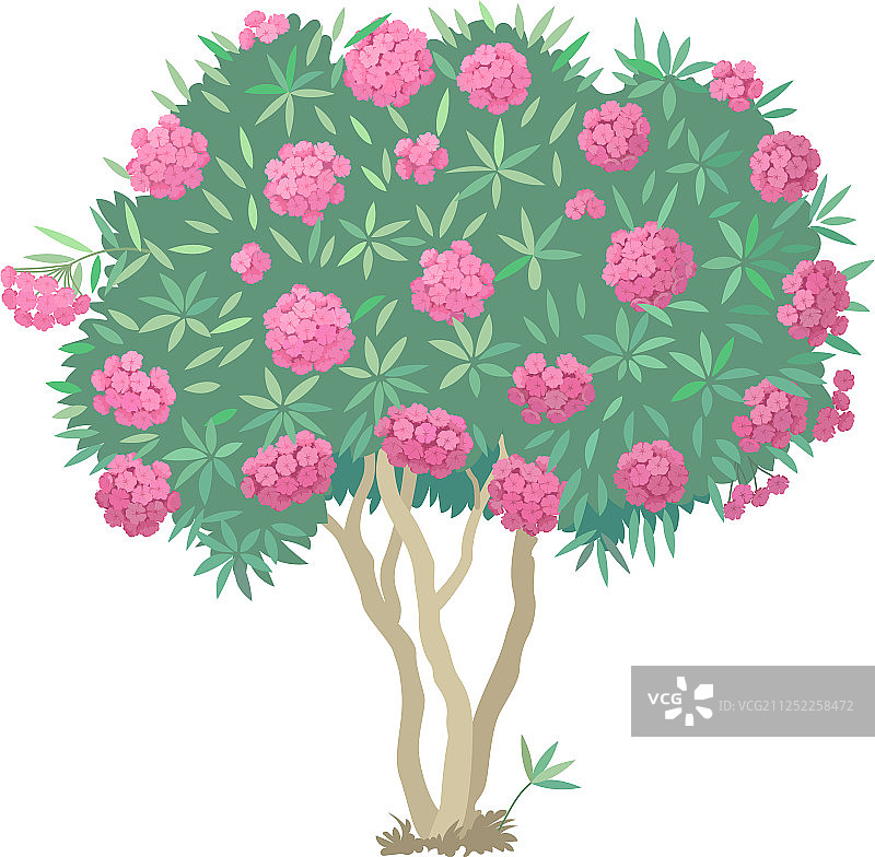 手绘植物剪贴画图片素材