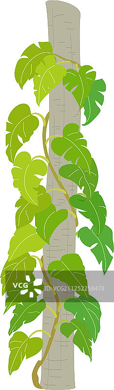 手绘植物剪贴画图片素材
