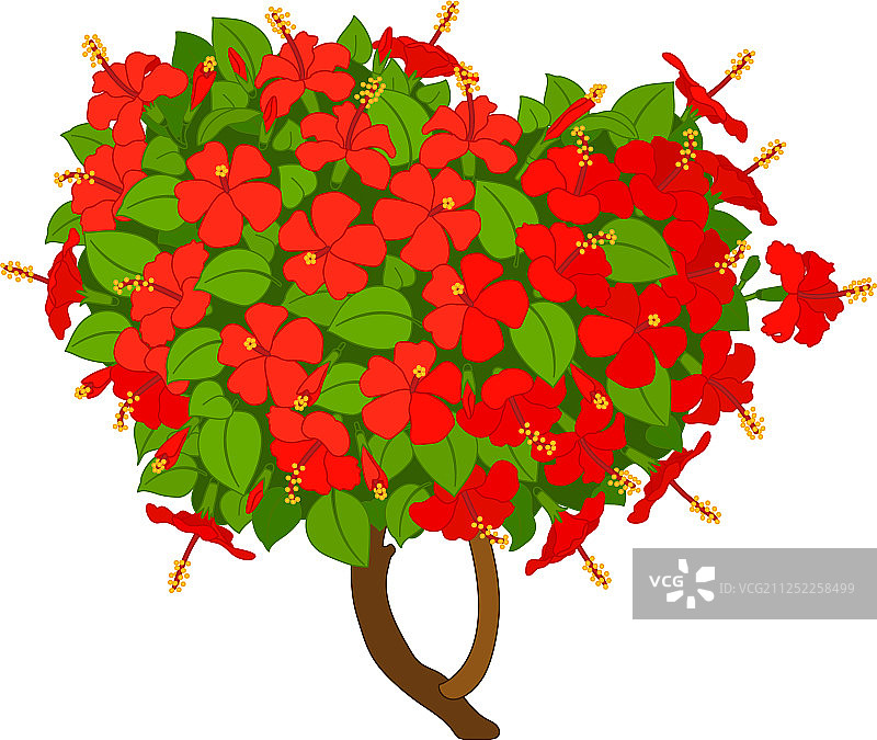 手绘植物剪贴画图片素材