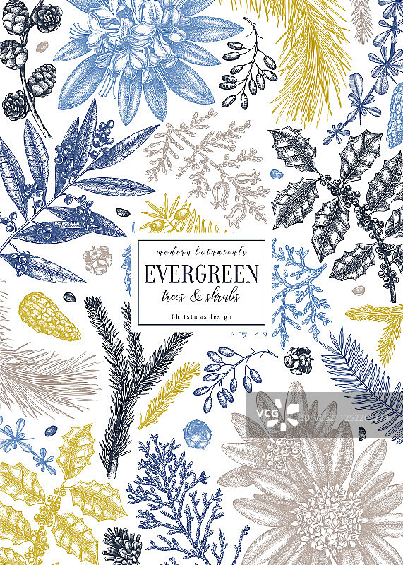 手绘圣诞节背景边框图片素材