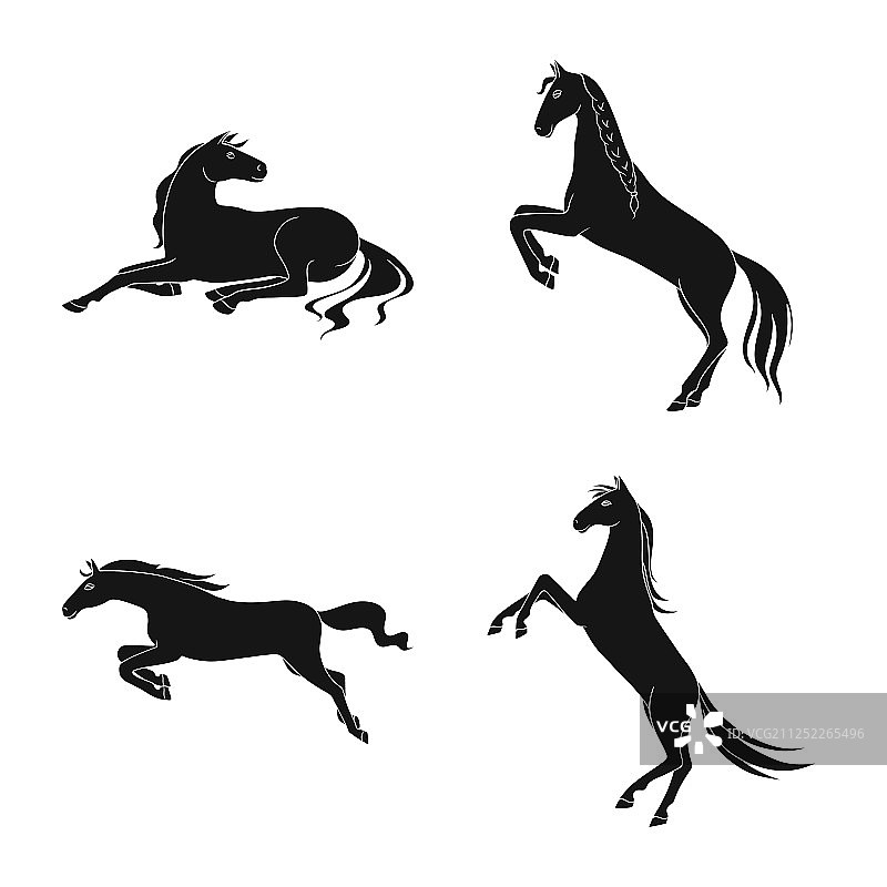 动物群和母马图标设计图片素材