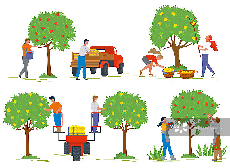 果园里采摘苹果的园丁图片素材