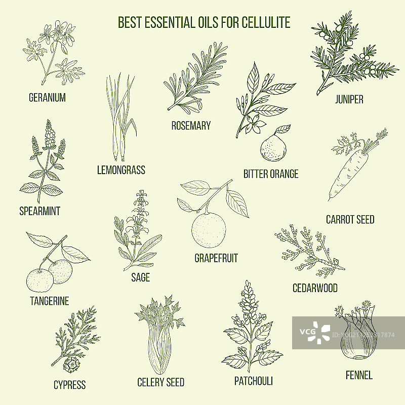 消除橘皮纹的最佳精油图片素材