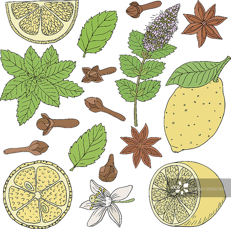 茶叶系列19-04图片素材