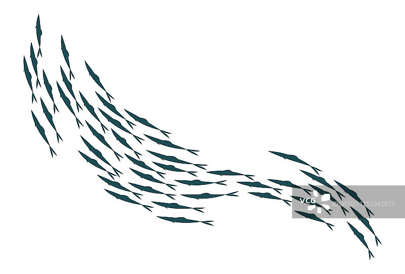 彩色剪影鱼群图片素材