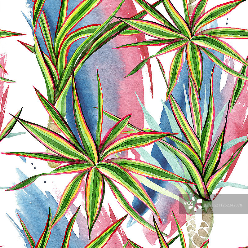 三色龙血树水彩背景图案图片素材