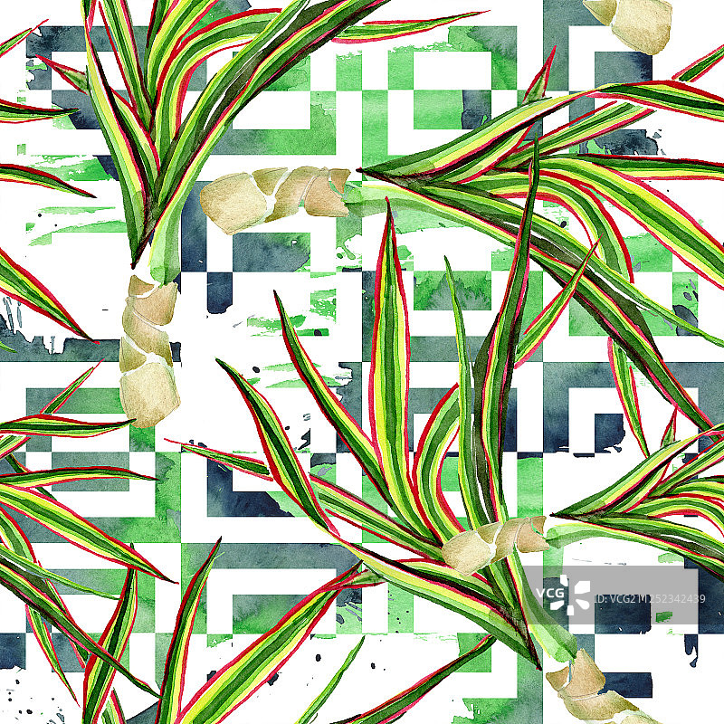 三色龙血树水彩背景图案图片素材