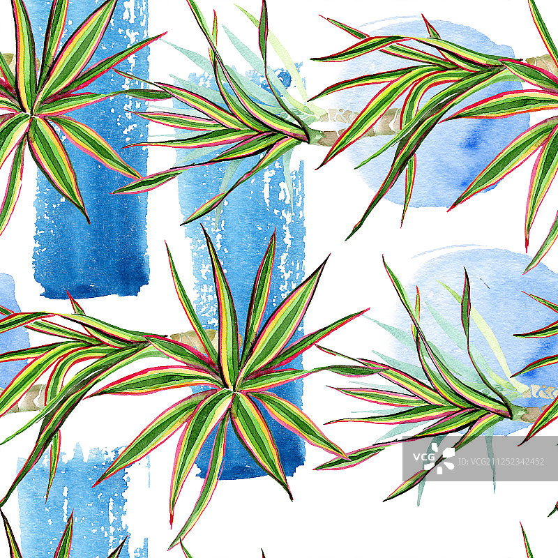 三色龙血树水彩背景图案图片素材