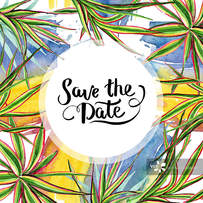 三色千年木水彩背景边框图片素材