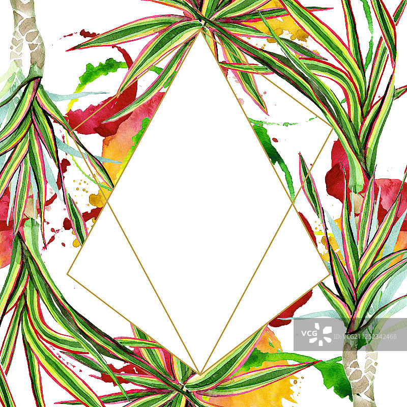 三色千年木水彩背景边框图片素材