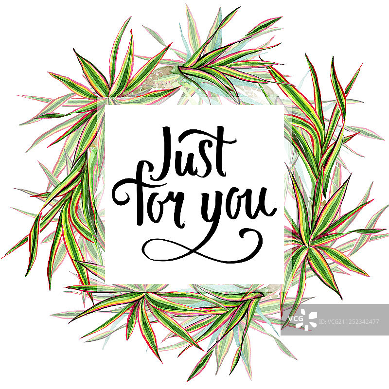 三色千年木水彩背景边框图片素材