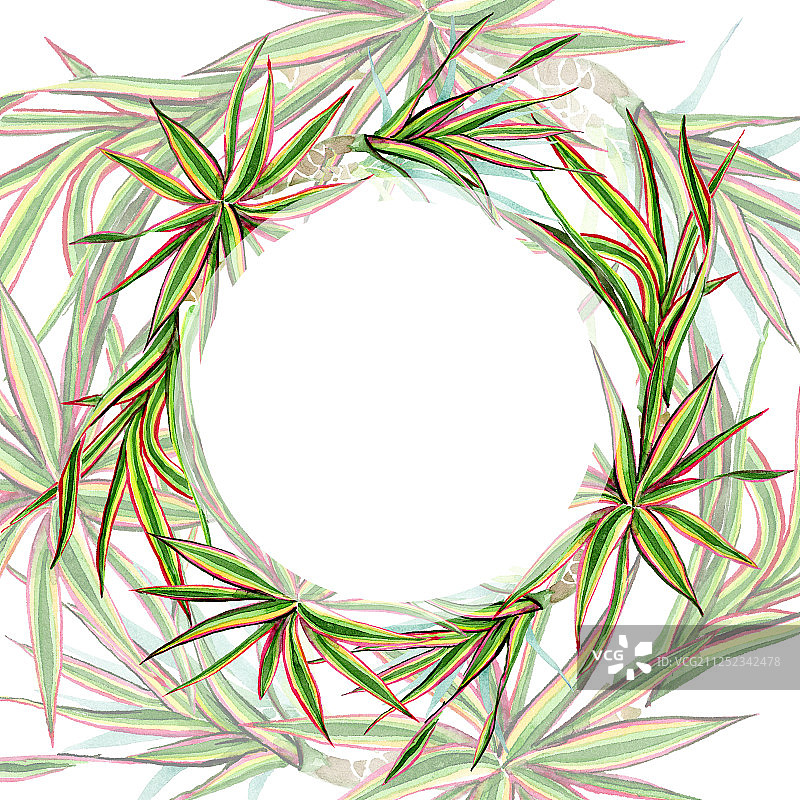 三色千年木水彩背景边框图片素材