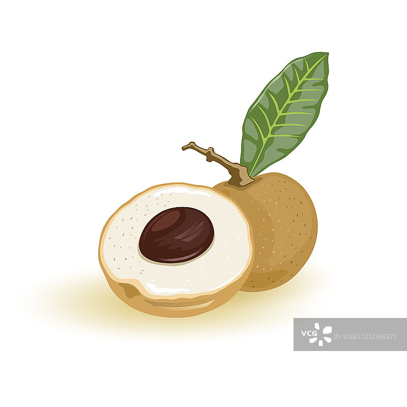 新鲜的龙眼，甜美多汁图片素材