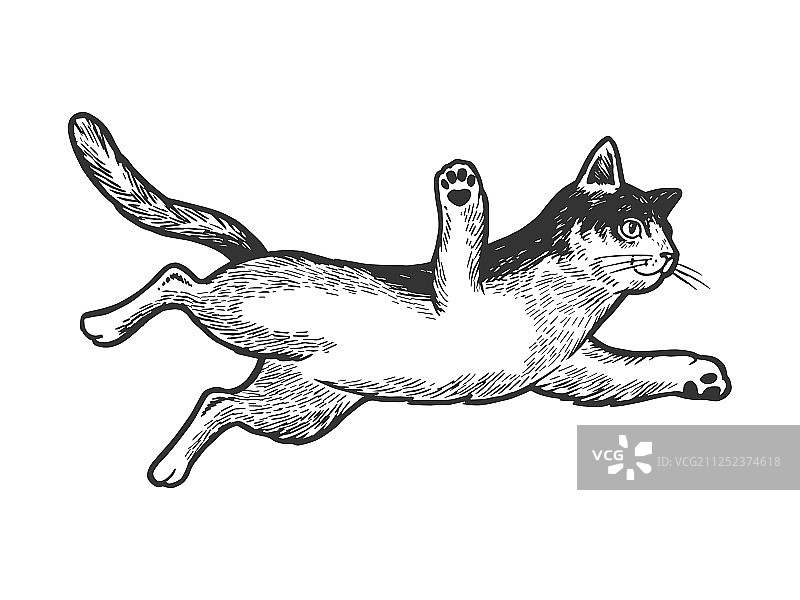 跳跃的猫素描雕刻图片素材