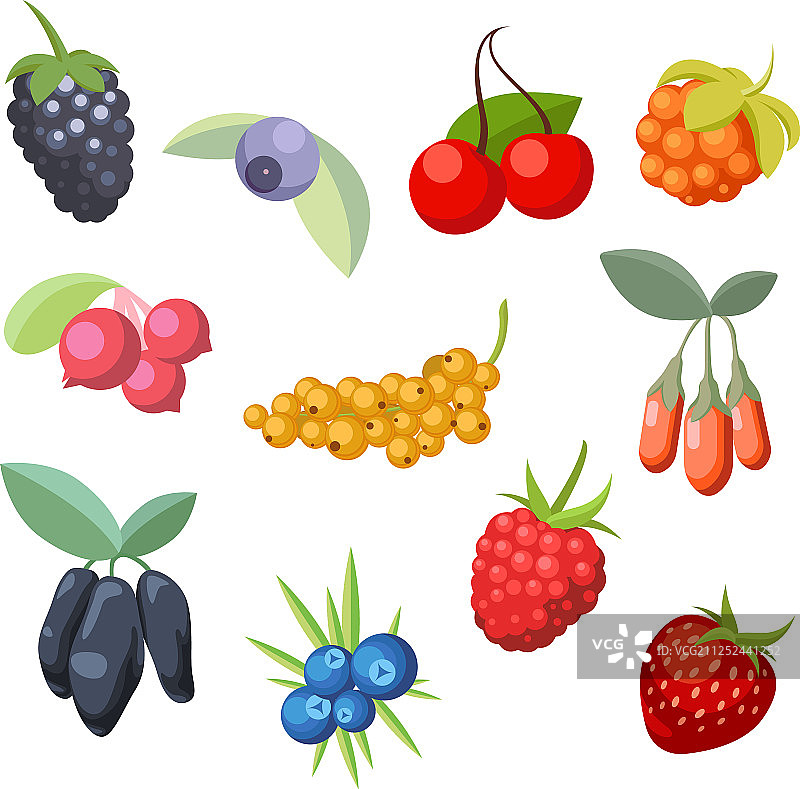 各种风格化的成熟新鲜浆果套装图片素材