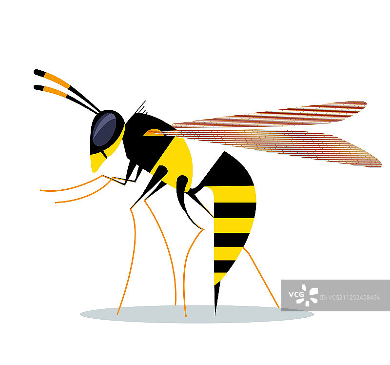 咬黄蜂图片素材