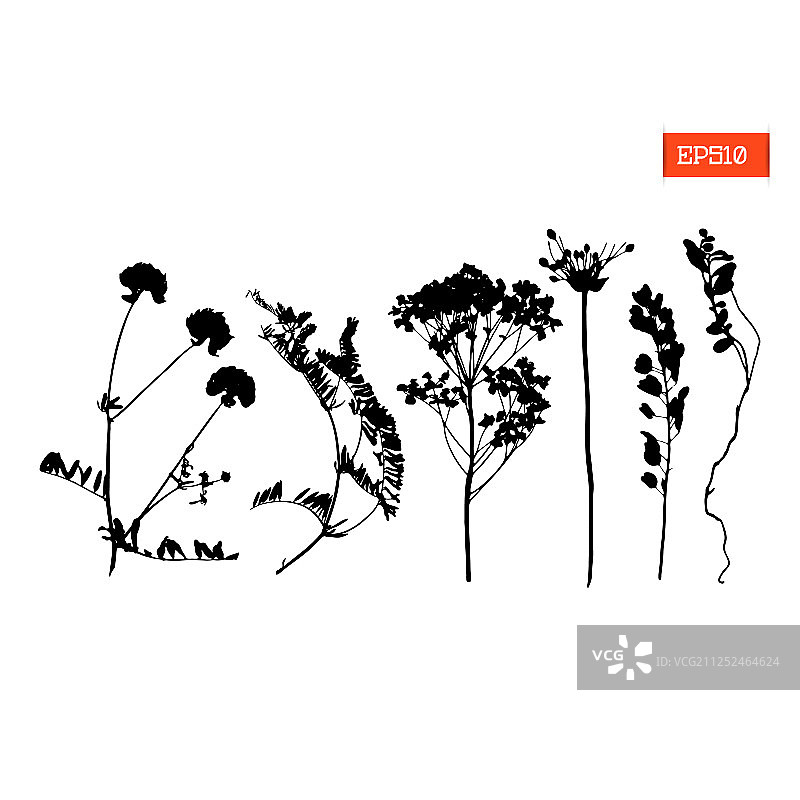 野花剪影合集图片素材