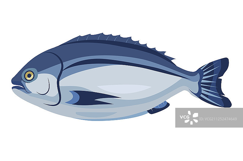 白色背景上的海豚鱼图标图片素材