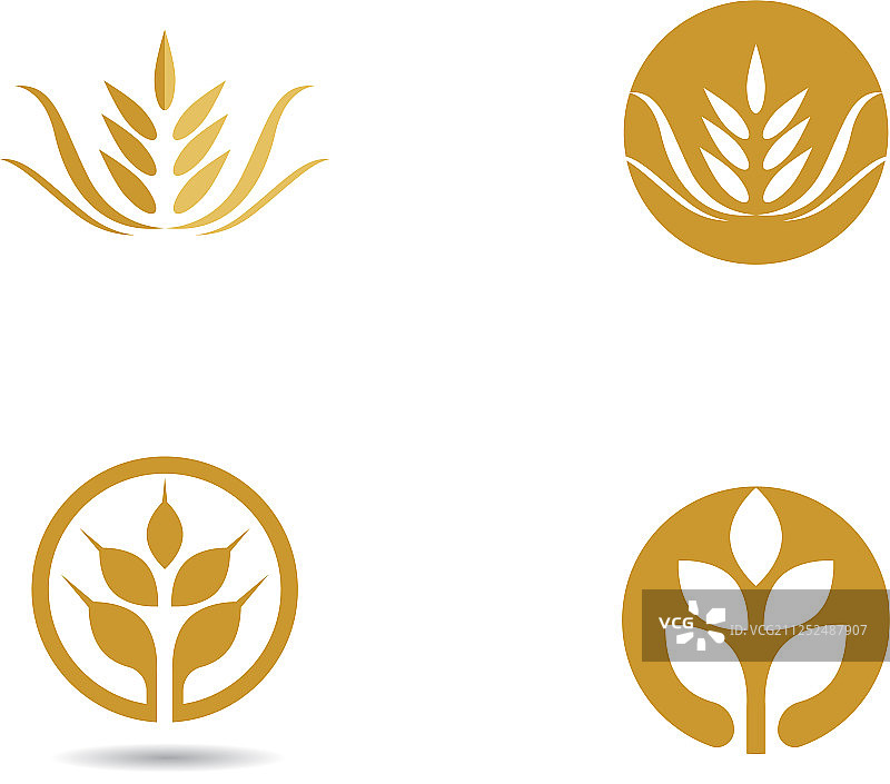 小麦图标设计图片素材